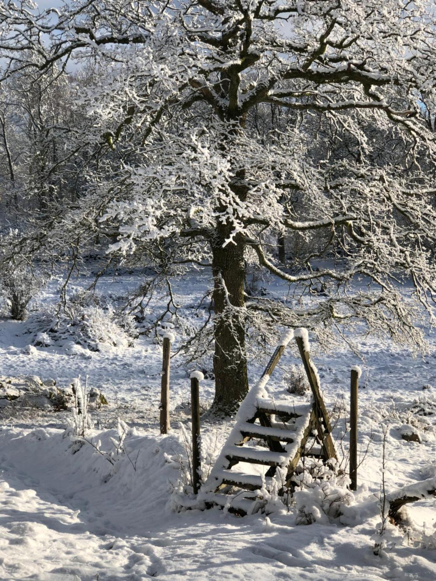Oevra Berg Villa Ullared Buitenkant foto